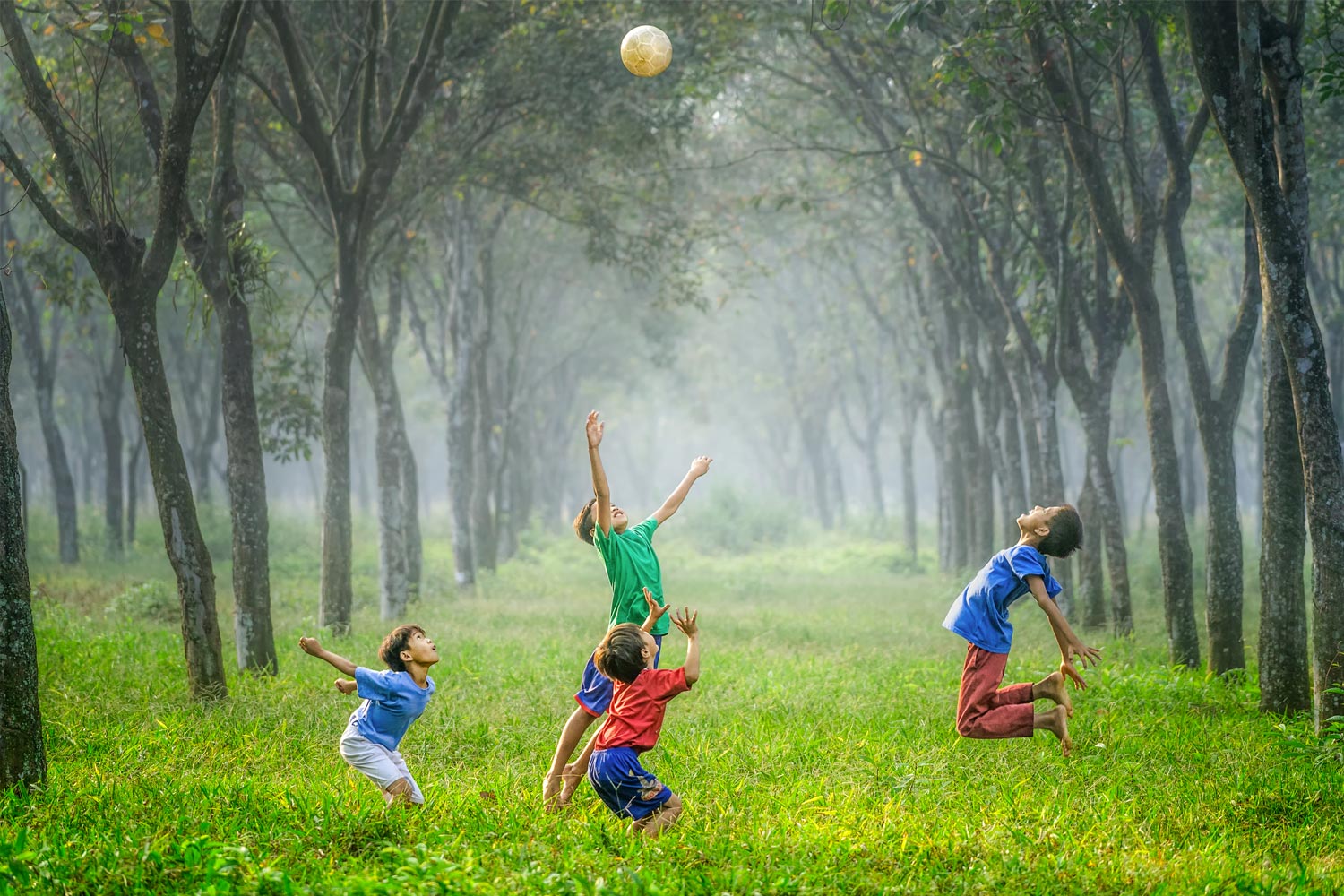 Action Educative en Milieu Ouvert